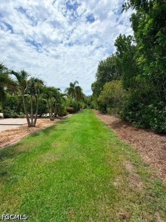Picture 11