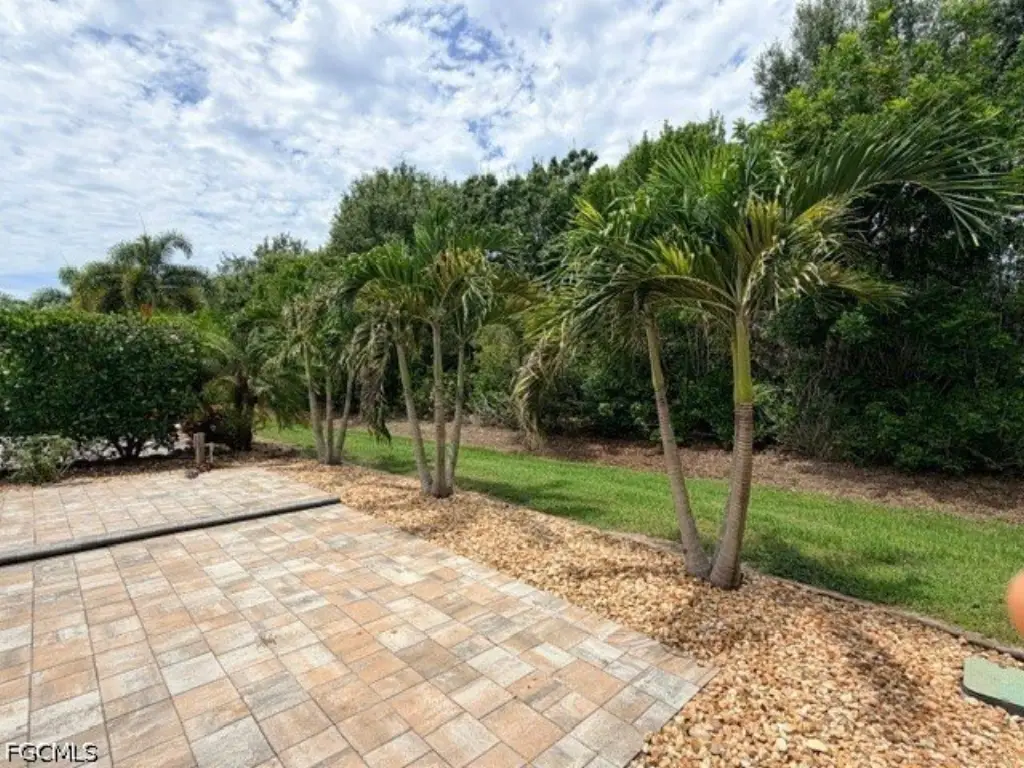 Picture 9