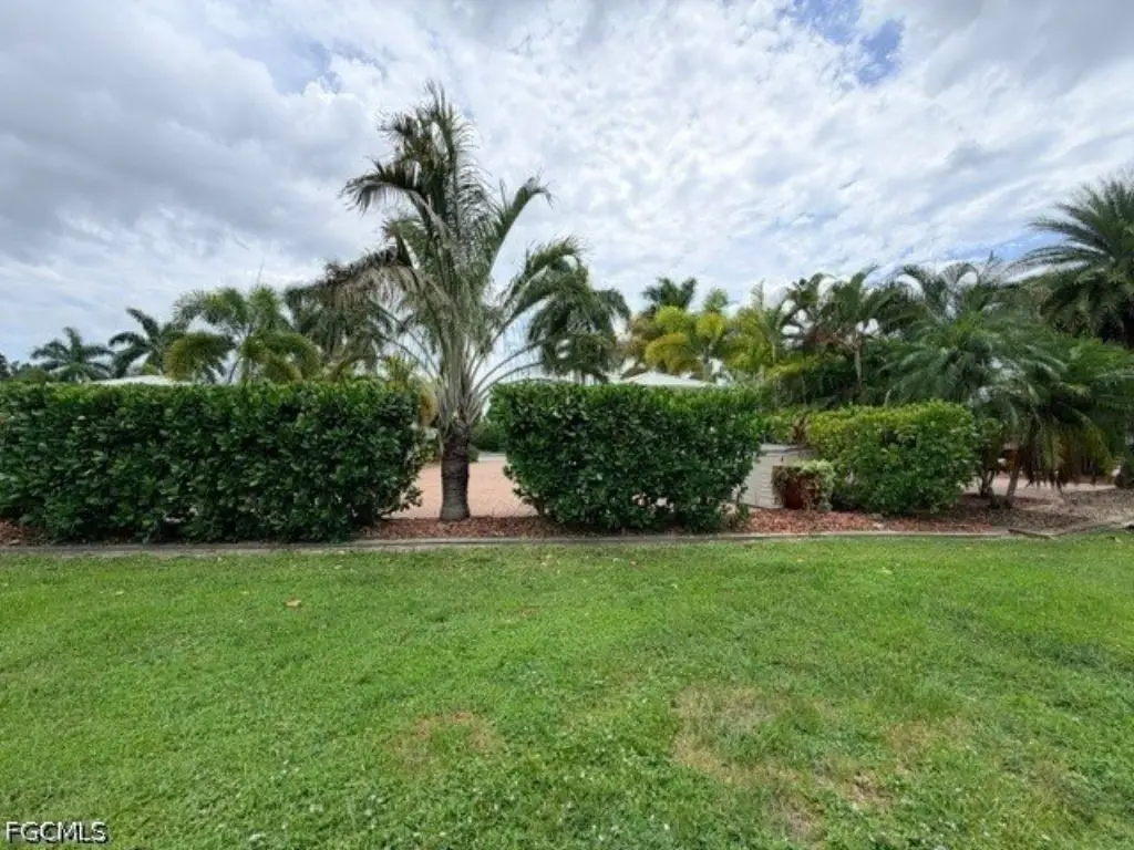 Picture 20