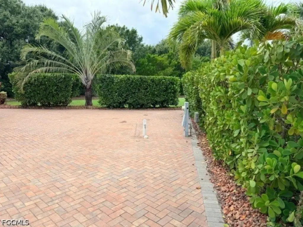 Picture 9