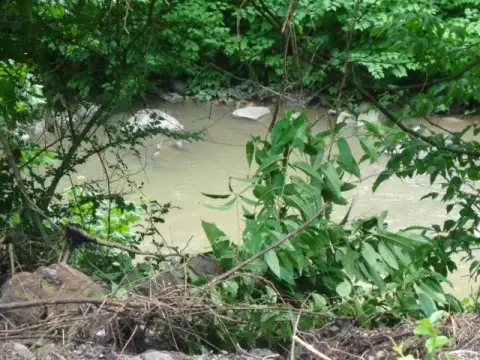 Vacant Lot Near Hatfield Trailhead