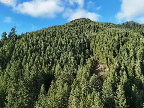 Land in Columbia River Gorge