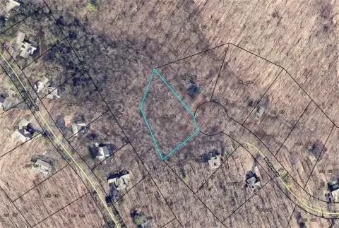 Big Canoe Buildable Lot