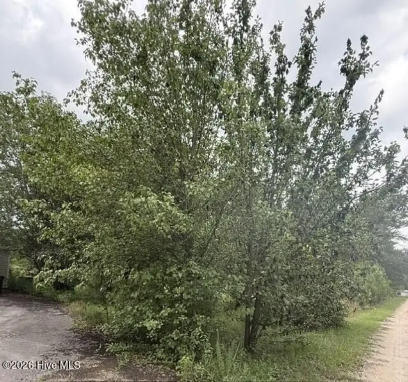 Picture 6