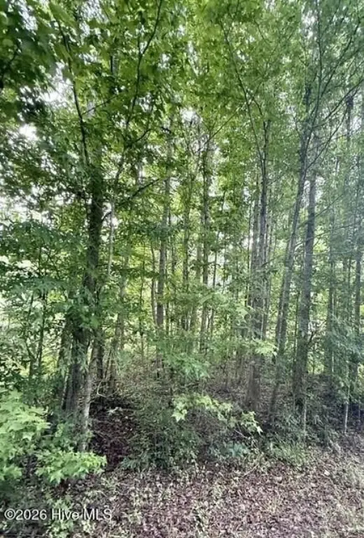 Picture 3