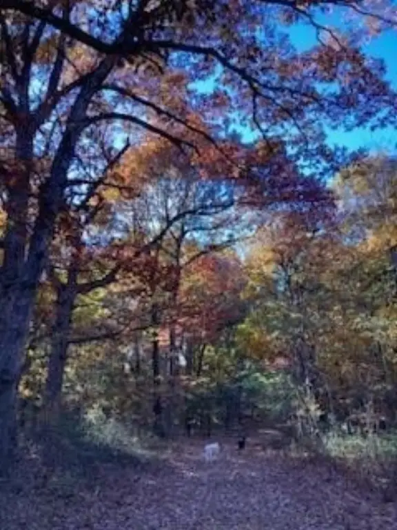 Picture 14
