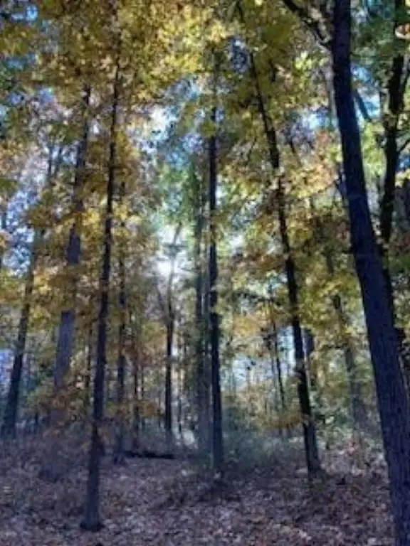 Picture 15