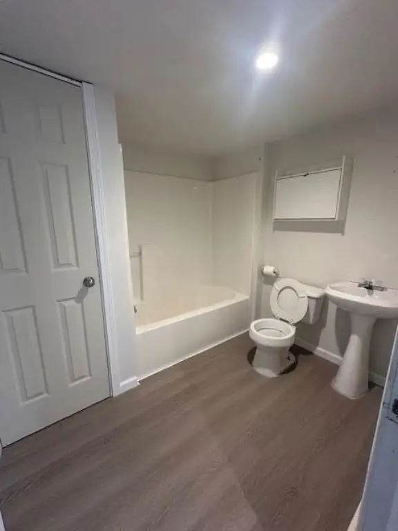 Picture 12