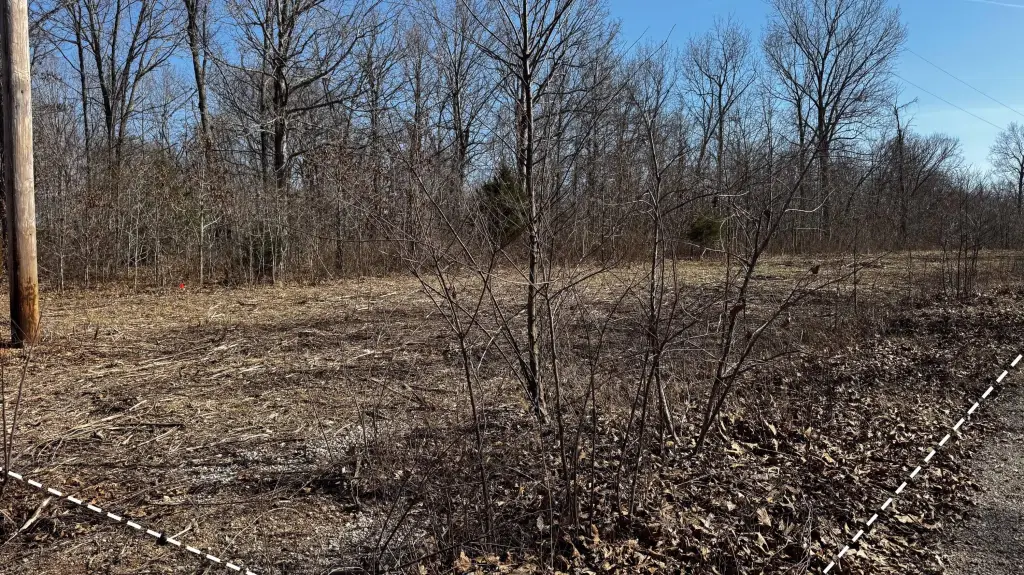 Picture 17