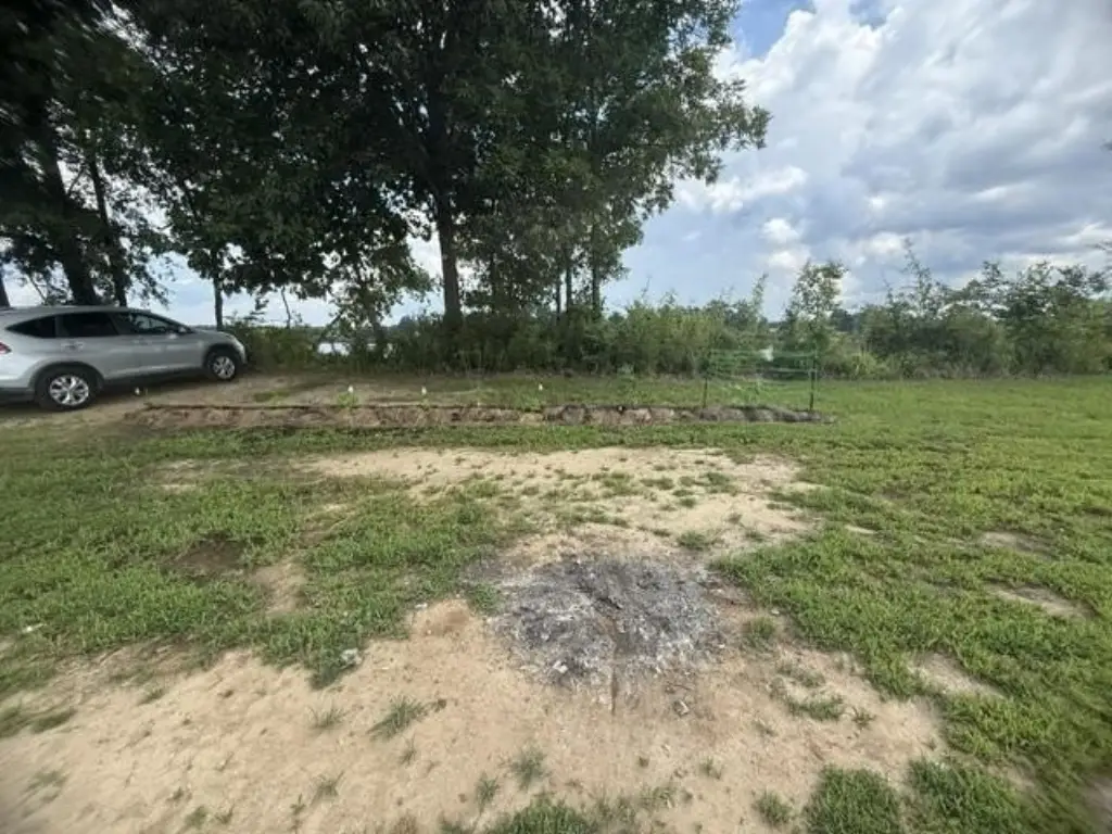 Picture 29