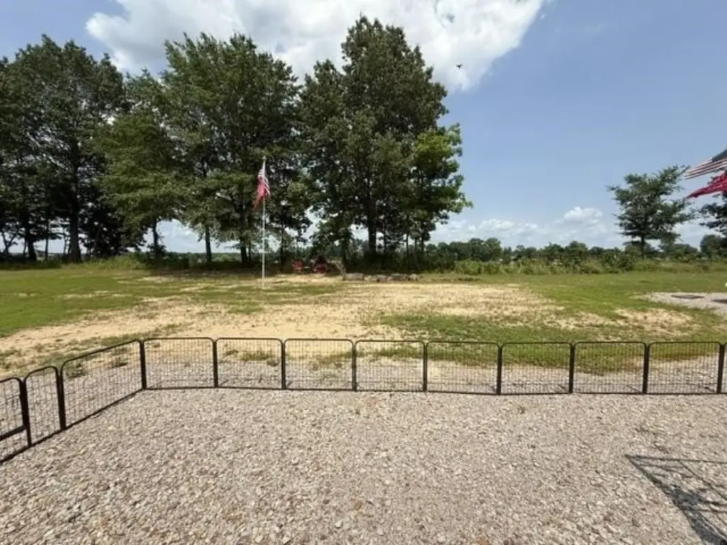 Picture 15