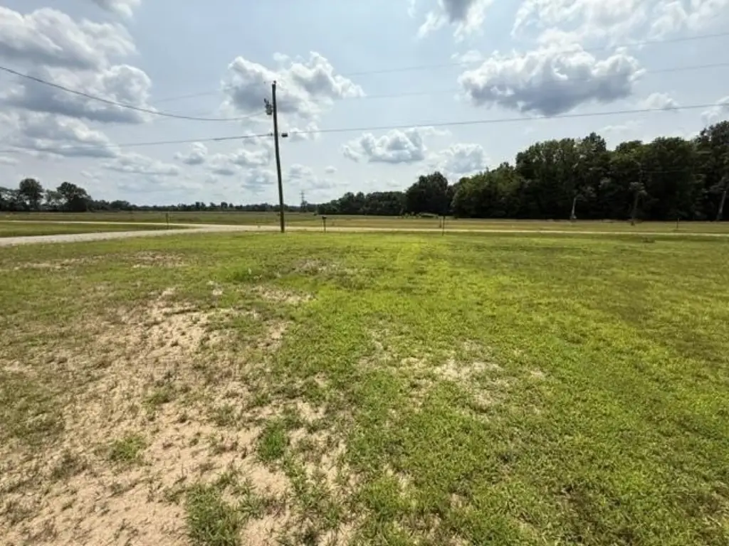 Picture 19
