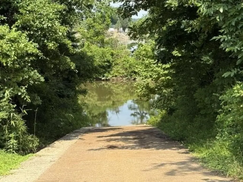 Picture 26