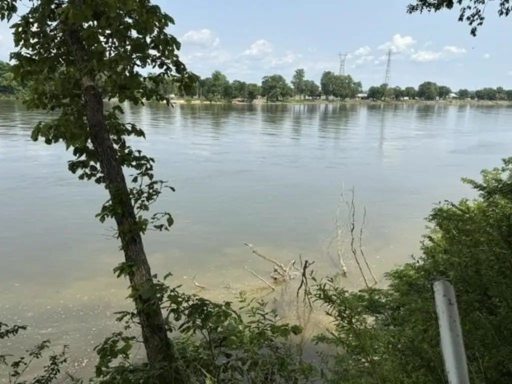 Picture 17