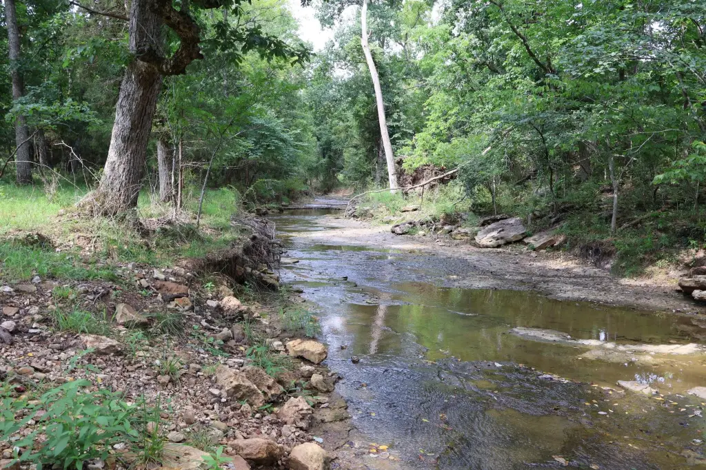 Picture 38