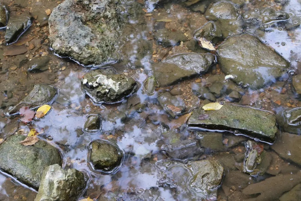 Picture 39