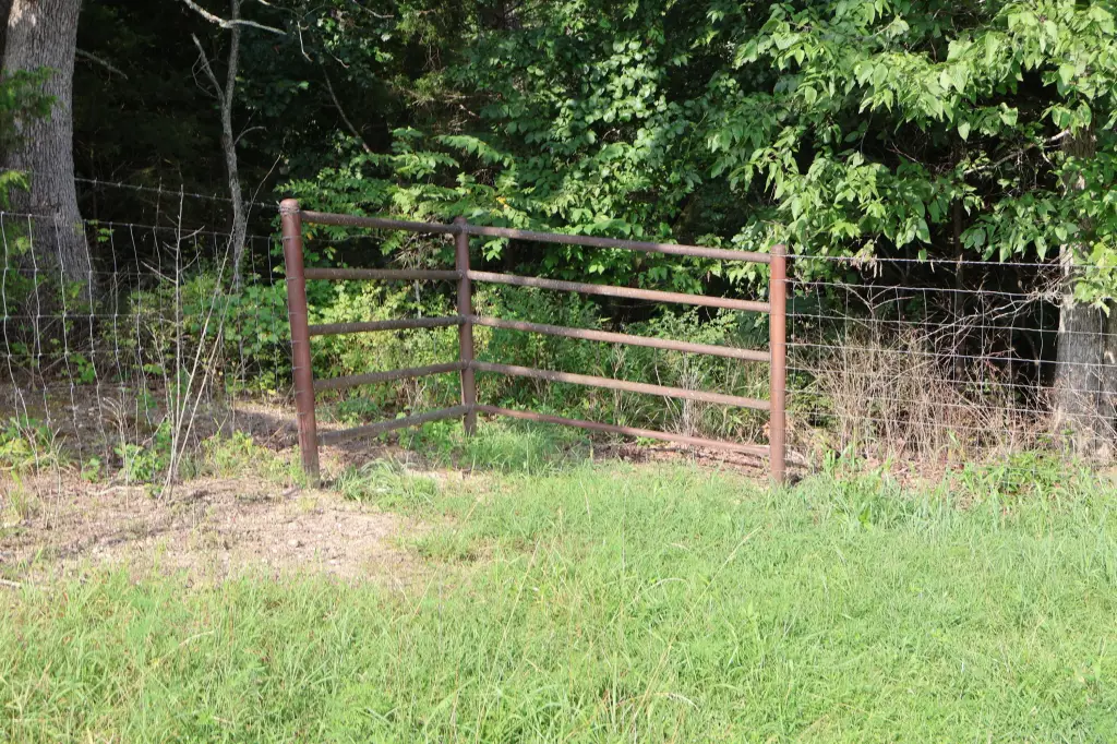 Picture 36