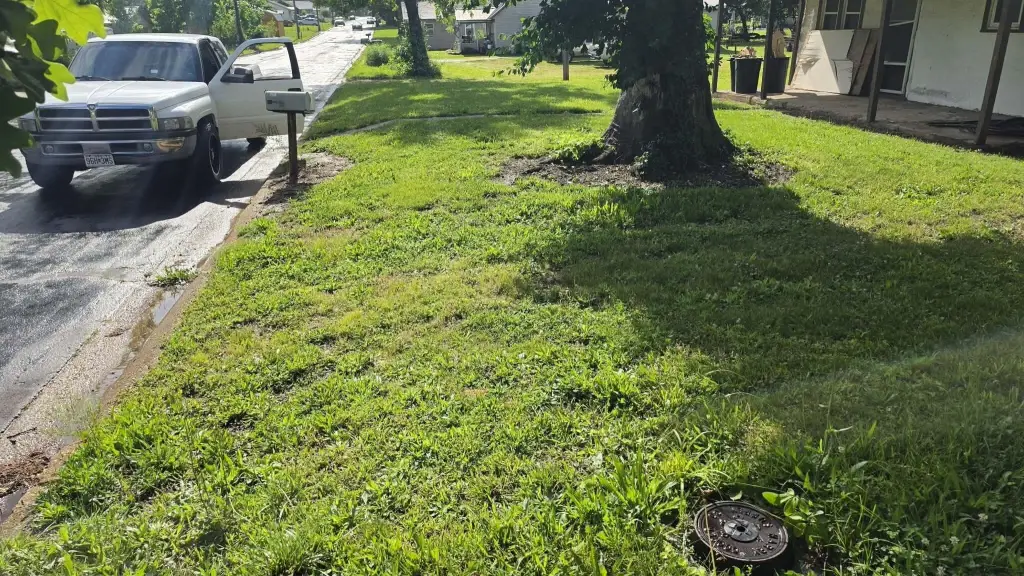 Picture 17