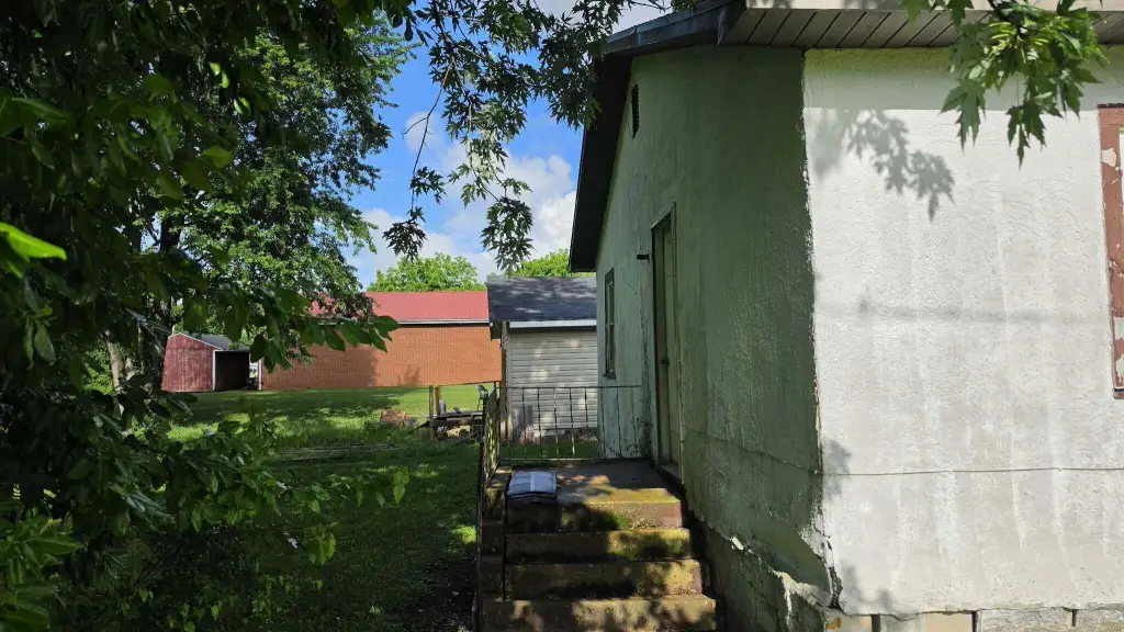 Picture 23