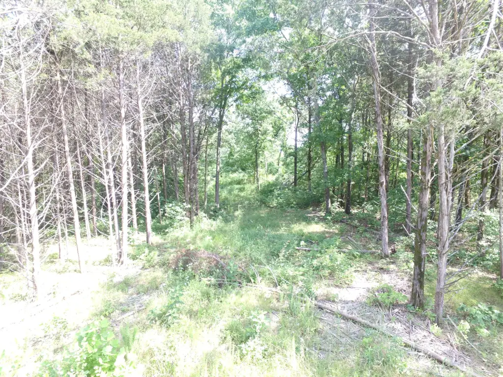 Picture 23