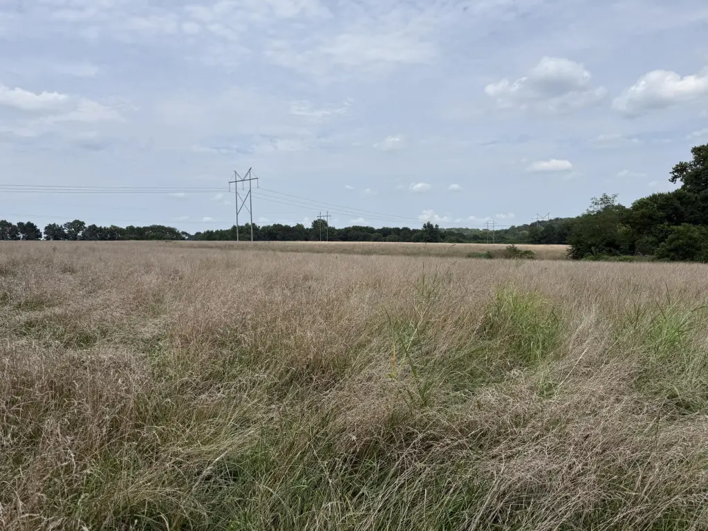 Picture 10