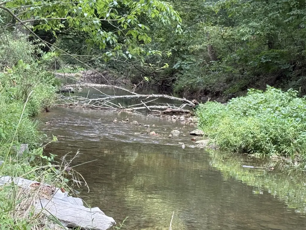 Picture 6