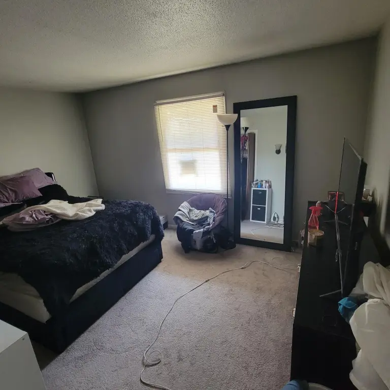Picture 33