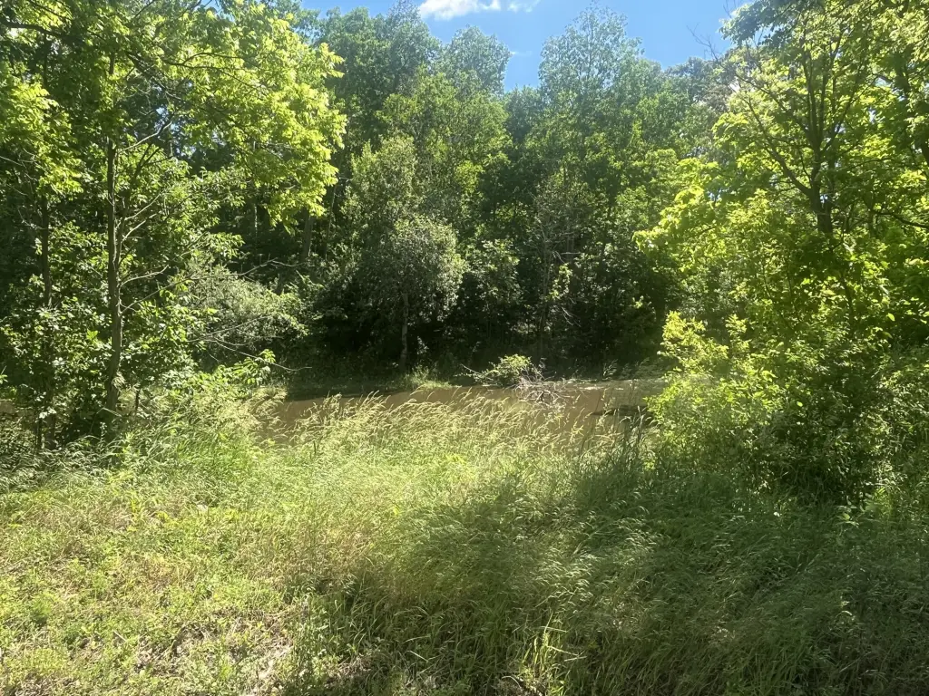 Picture 23