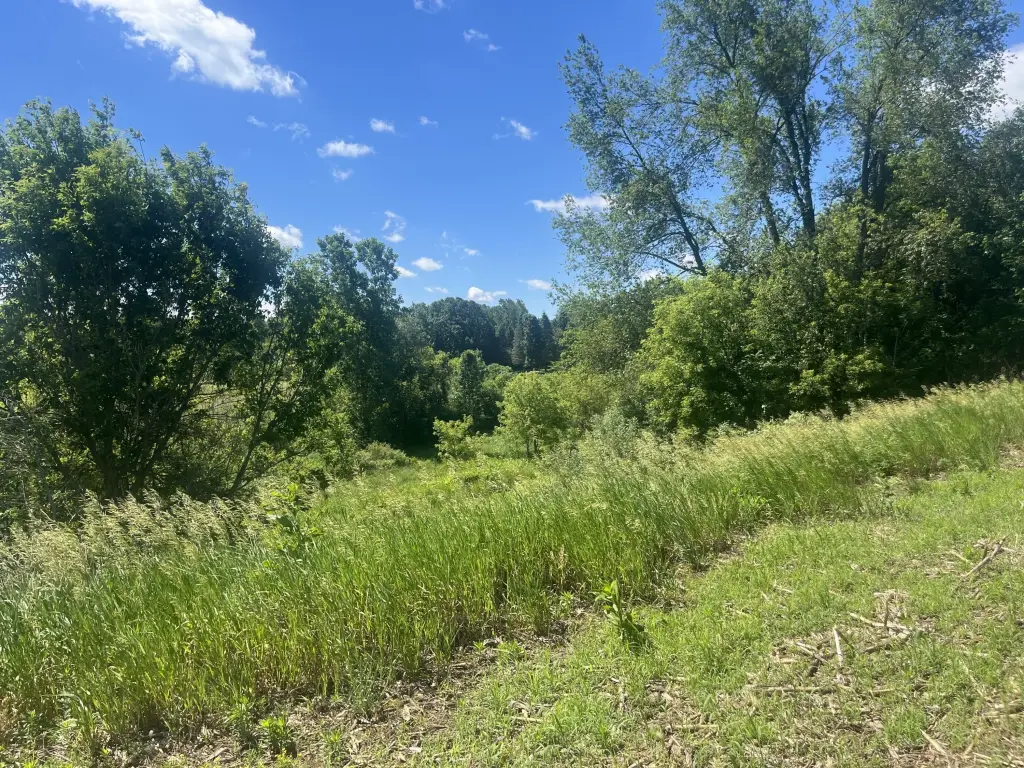 Picture 21