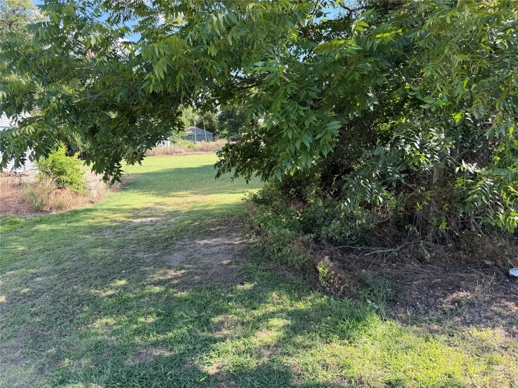 Picture 6