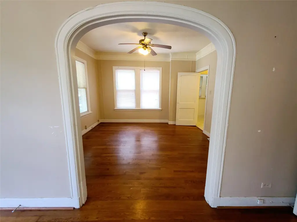Picture 5