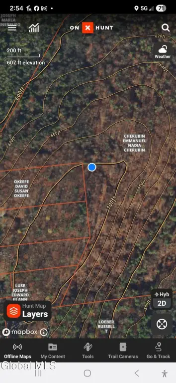 Picture 13