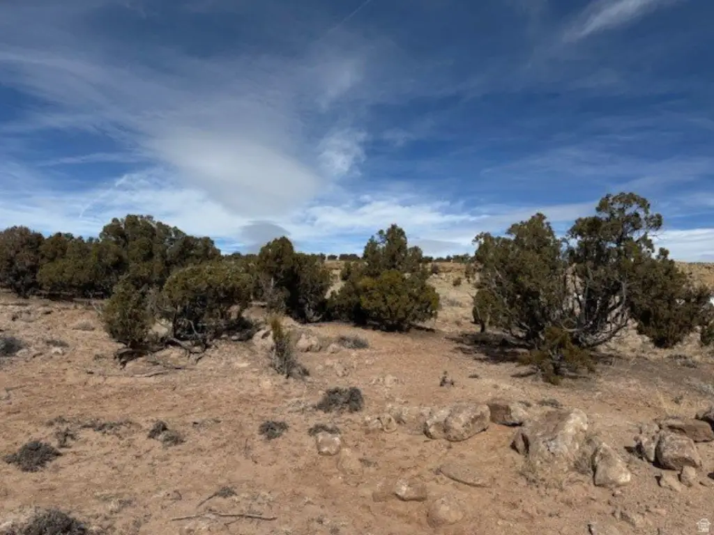 Picture 27