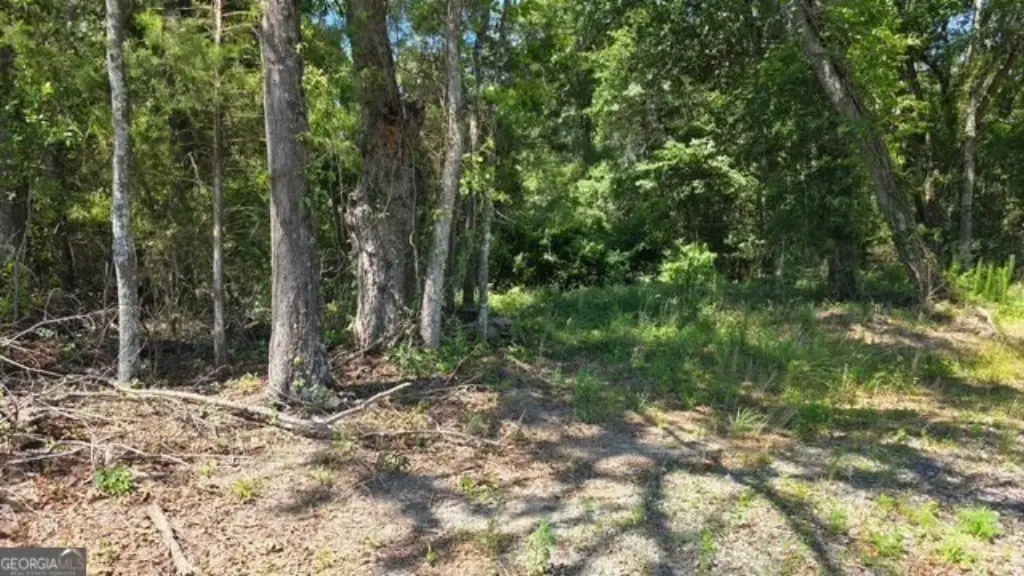 Picture 4