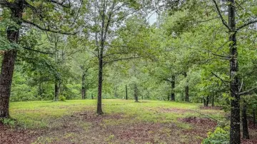 Huntsville, AR Wooded Retreat