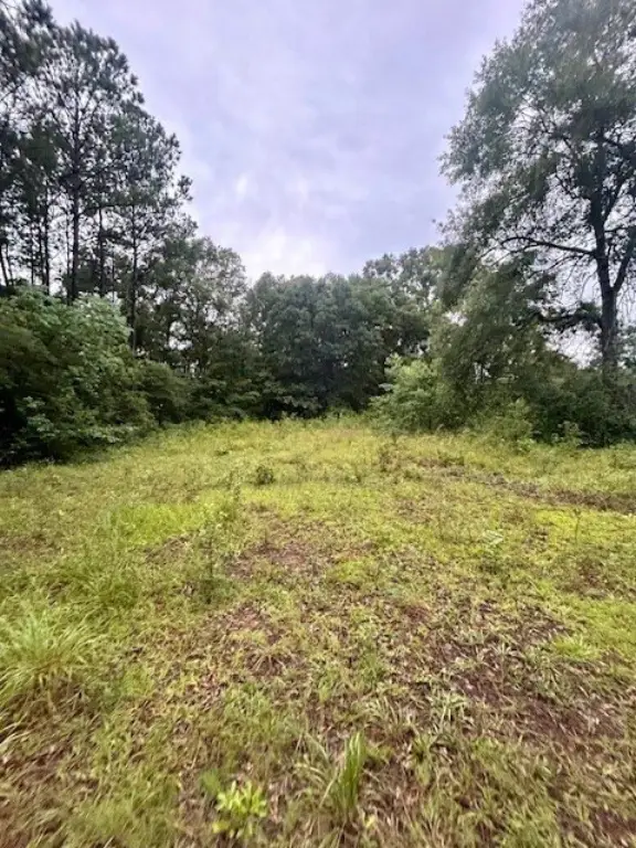Picture 2