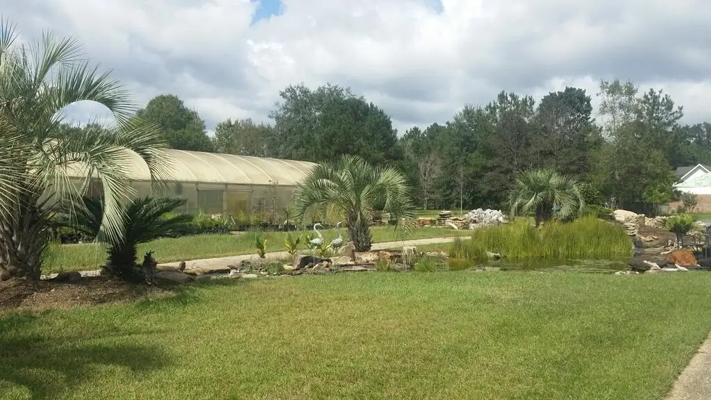 Picture 23