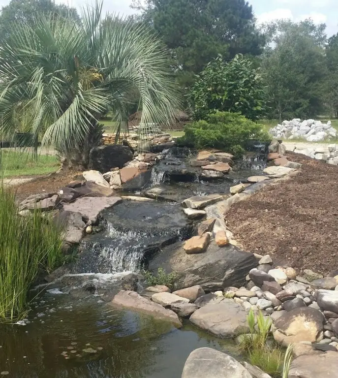 Picture 3