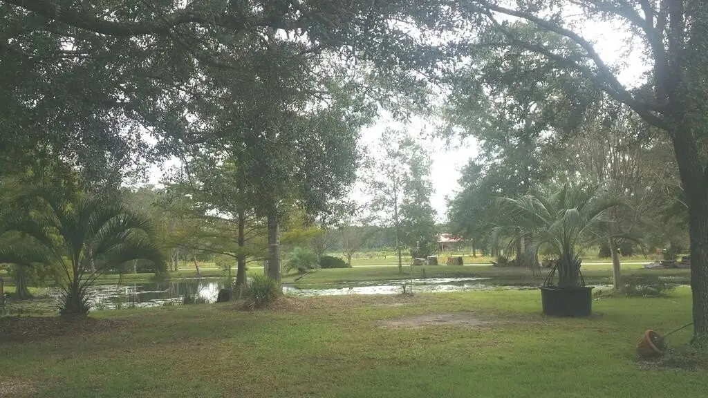 Picture 24