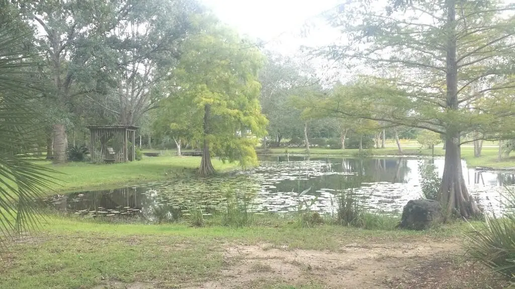 Picture 5