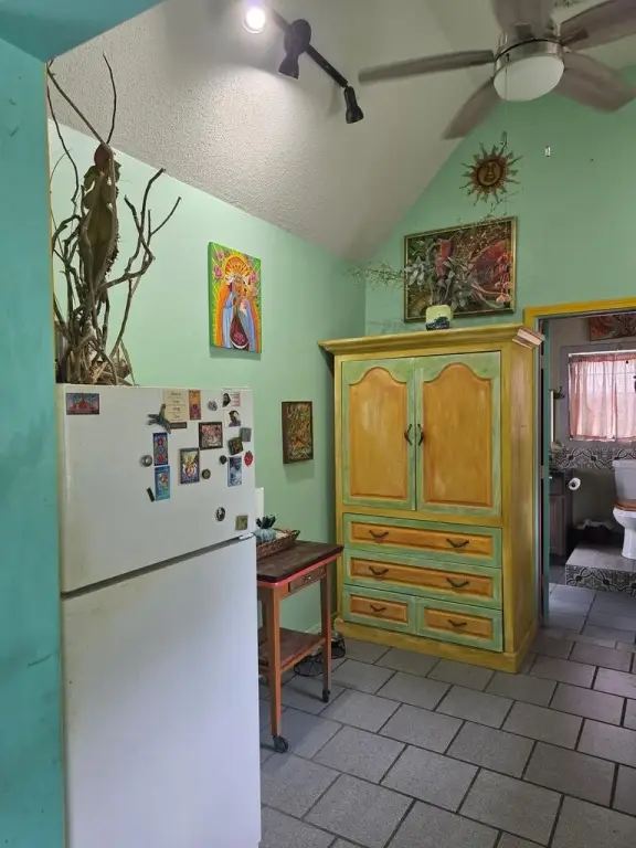 Picture 13