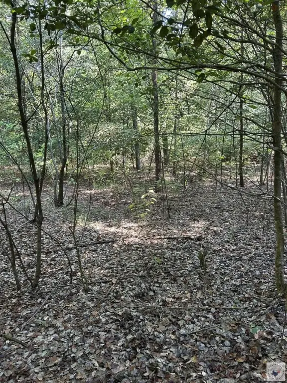 Picture 45