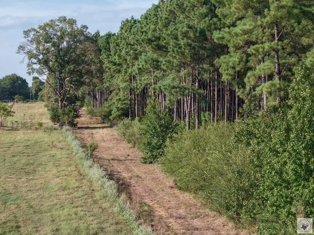 Picture 41