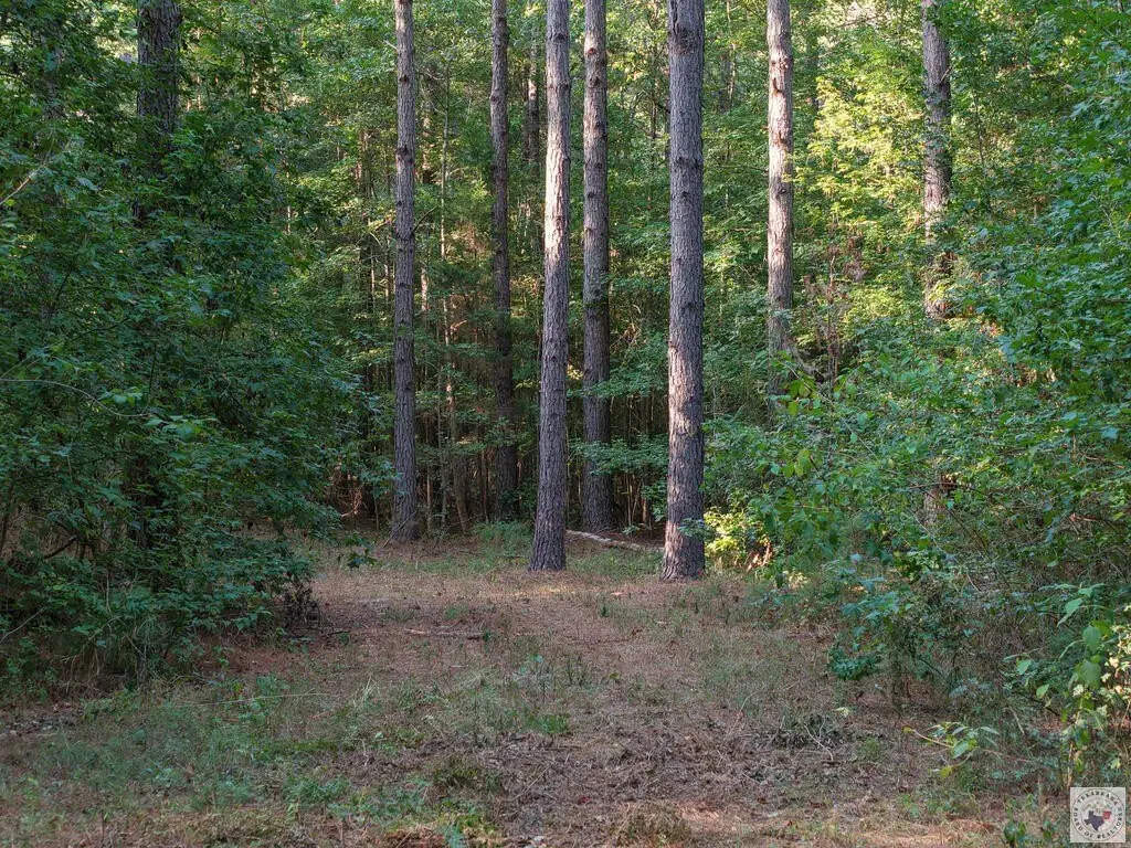 Picture 30
