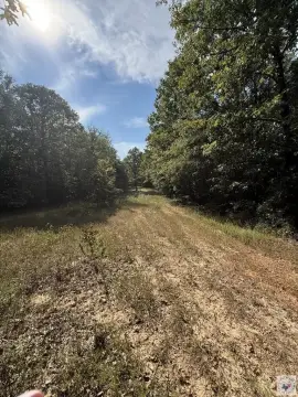 Hunting Land with Creek Access