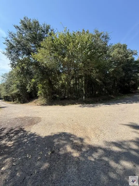 Picture 8