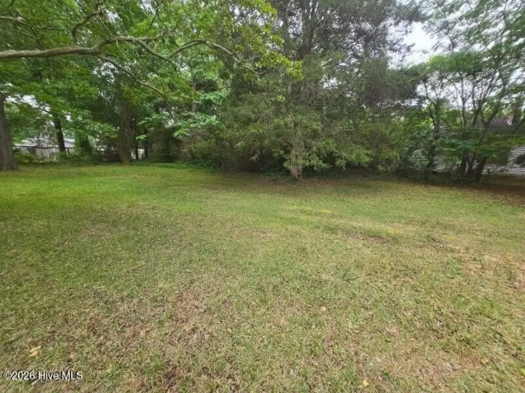 Picture 3