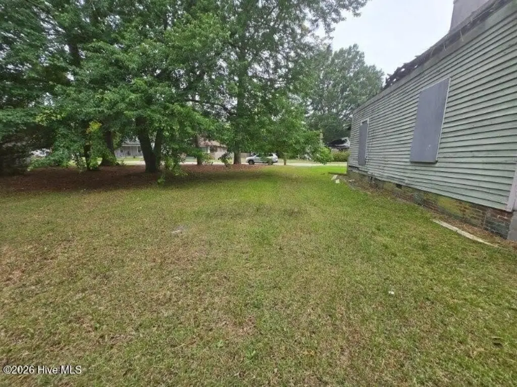 Picture 4
