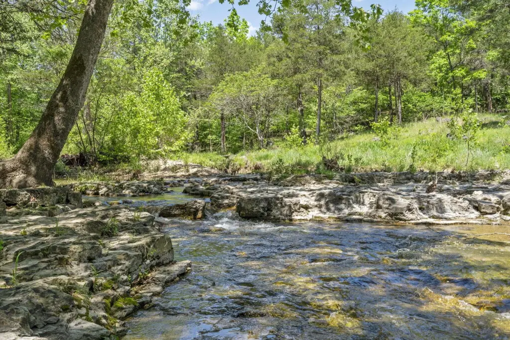 Picture 21