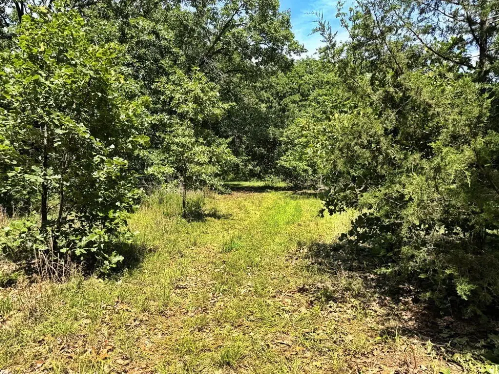 Picture 29